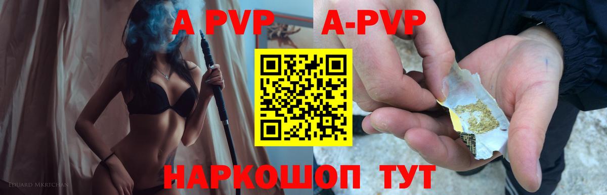 A-PVP  APVP СК  A PVP СК КРИС  Вход с VPN  Урус-Мартан 