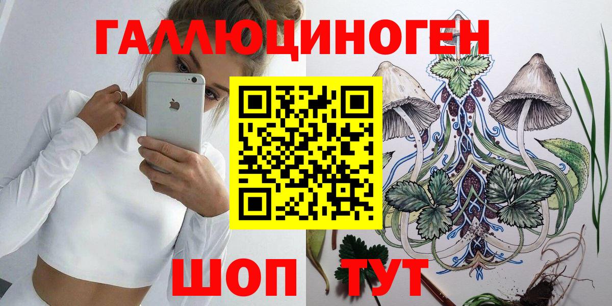 Урус-Мартан  Псилоцибиновые грибы GOLDEN TEACHER  Вход с VPN 